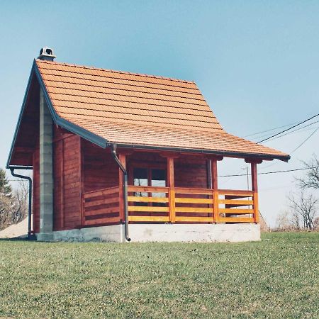 Villa Brvnara Zecevic à Zlatibor Extérieur photo