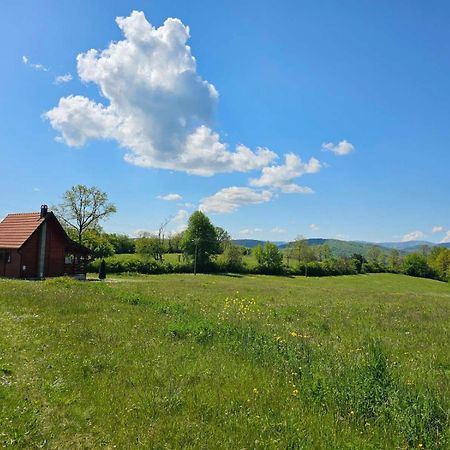 Villa Brvnara Zecevic à Zlatibor Extérieur photo