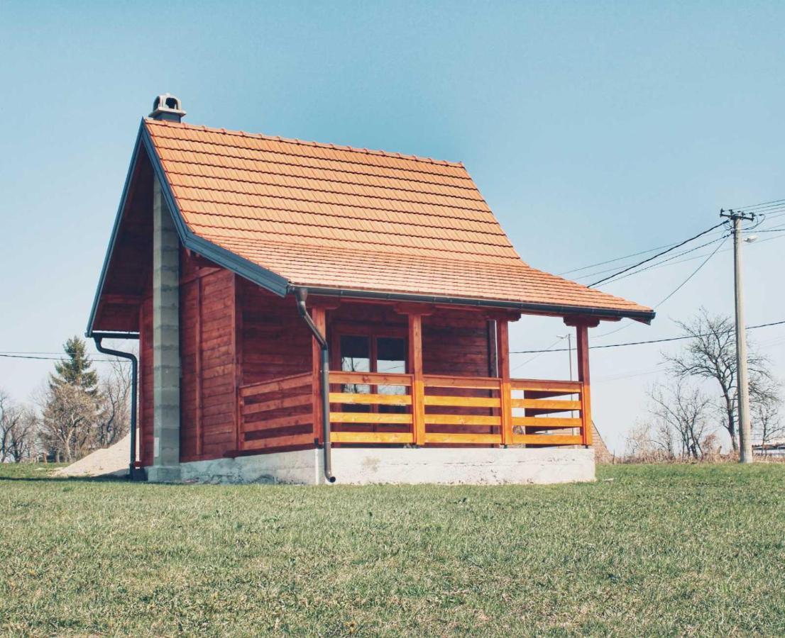 Villa Brvnara Zecevic à Zlatibor Extérieur photo