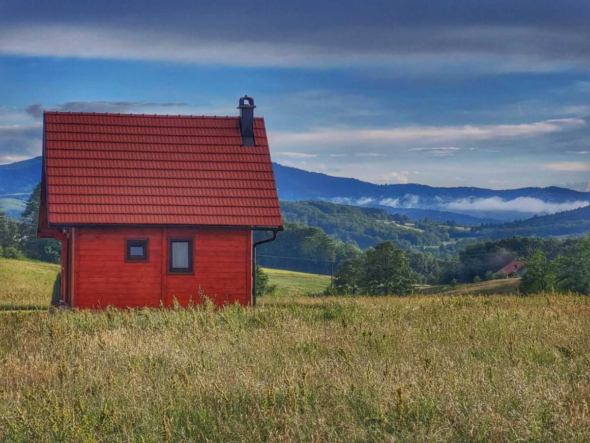 Villa Brvnara Zecevic à Zlatibor Extérieur photo