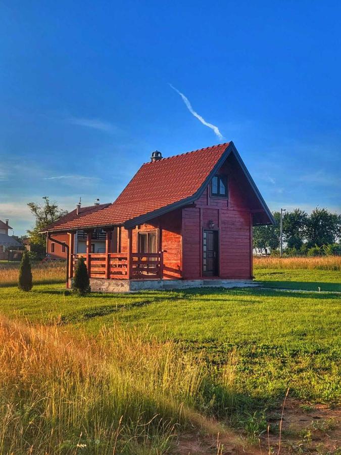 Villa Brvnara Zecevic à Zlatibor Extérieur photo