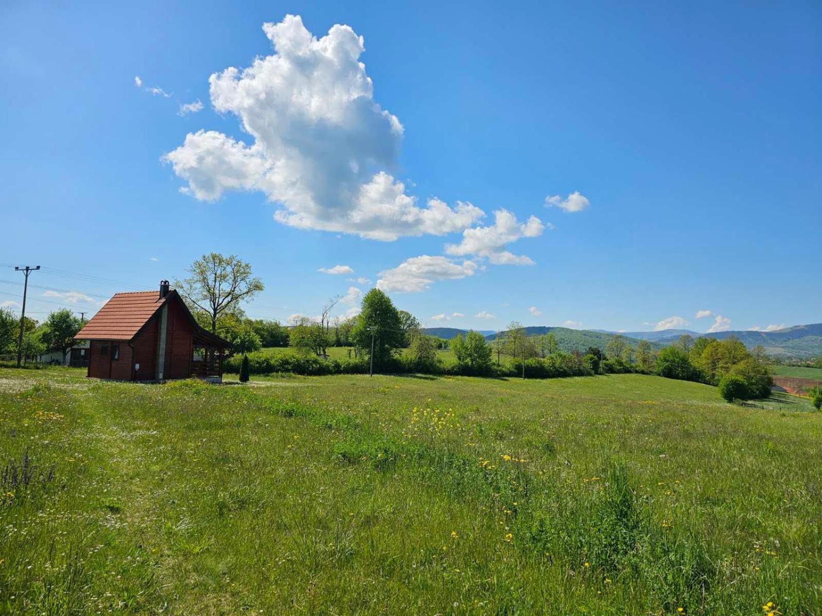 Villa Brvnara Zecevic à Zlatibor Extérieur photo